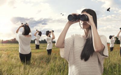 If You Don’t Succeed At First – Find Solutions!