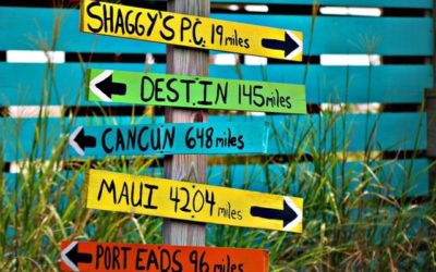 Decisions, decisions!