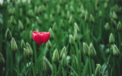 How To Set Your Inner Rebel Free