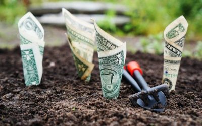 Turn Your Passion Into Your Pay-Cheque